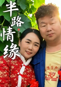半路情缘